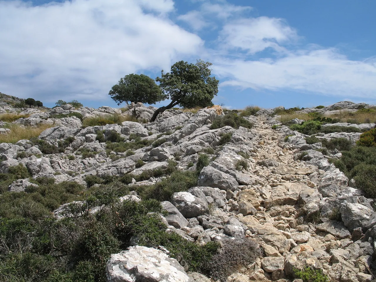 Camí de s'Arxiduc (ścieżka Arcyksięcia z Valldemossy), zdjęcie
