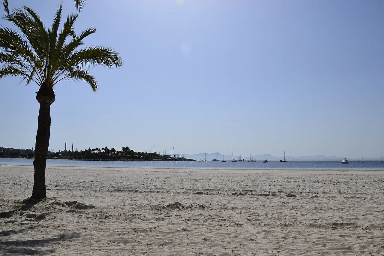 Plaża Alcúdia, zdjęcie