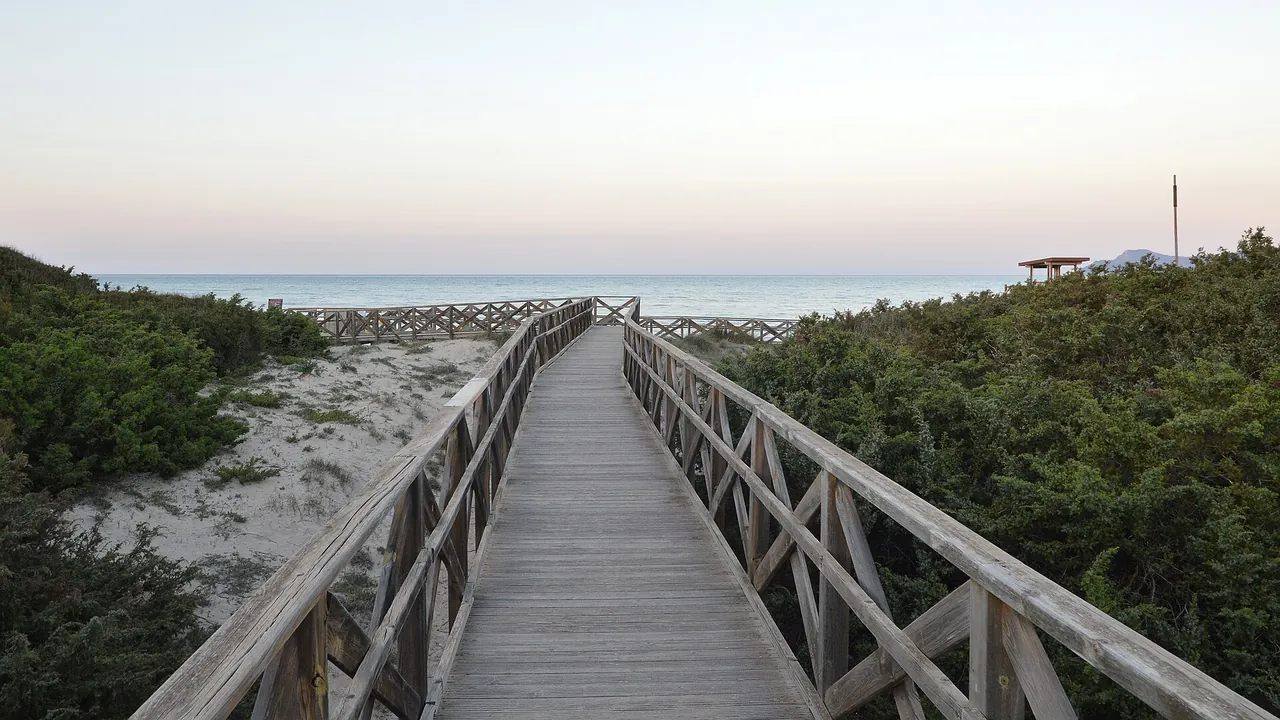Plaża Platja de Muro, zdjęcie