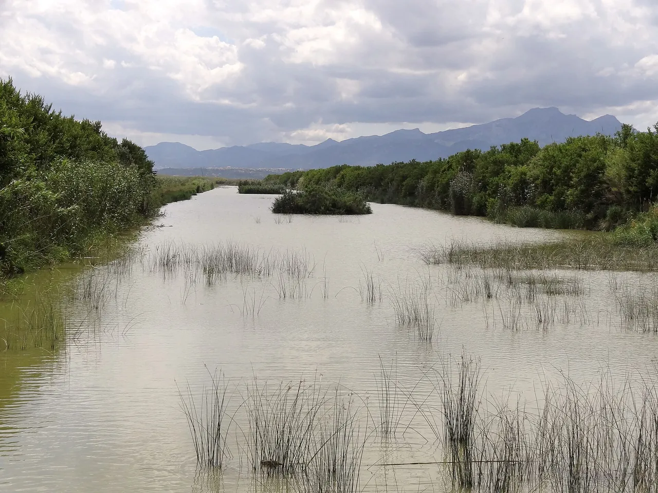 Park Przyrody S'Albufera, zdjęcie