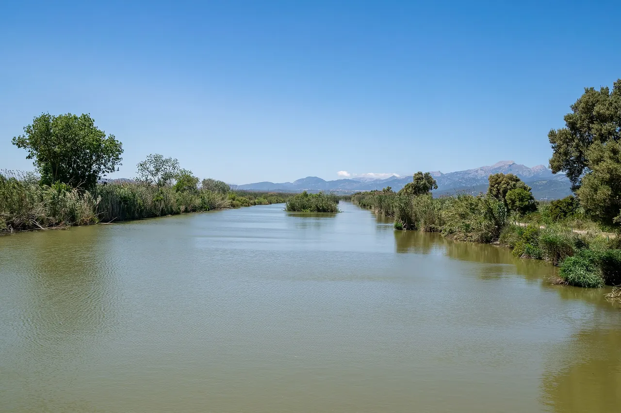 Park Przyrody S'Albufera, zdjęcie